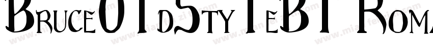 Bruce01dSty1eBT Roman字体转换
